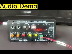 برد تقویت کننده D10-II برای 4 اوم 40 وات اسپیکر 110V 220V 12V 24V ماژول صوتی سبووفر