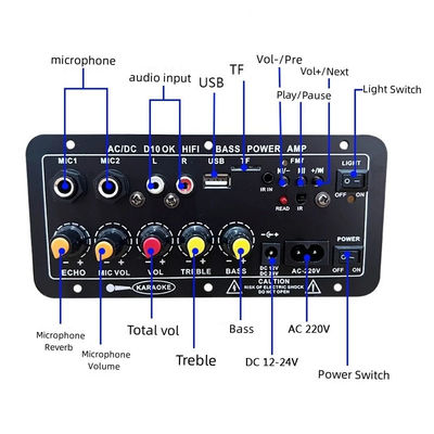 D10 12V 24V Subwoofer Digital Power Amplifier Board بی سیم آدیو استریو BT 5.0 میکروفون دوگانه کاراکه آمپر اسپیکر Acc