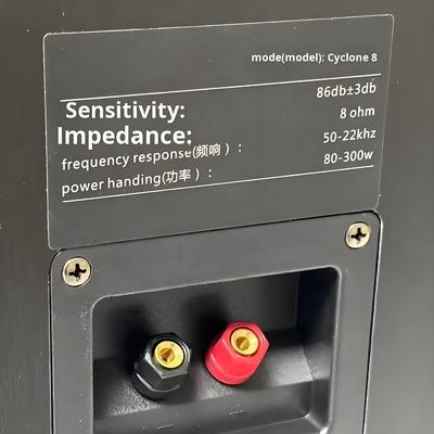 لباس: سایکلون شماره 8 رنگ آمیزی سه طرفه بلندگو با تقویت کننده SR8800 و Subwoofer 10 اینچی